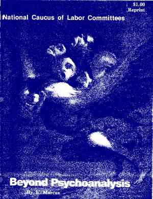 Cam74ReprBeyondPsych